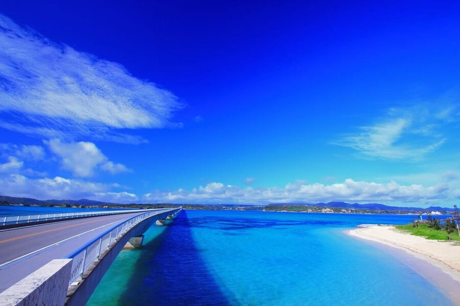 <1Dya Tour>Churaumi Aquarium, Cape Manzamo, American Village - A full day from Naha to northern Okinawa