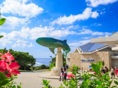 <1Dya Tour>Churaumi Aquarium, Cape Manzamo, American Village