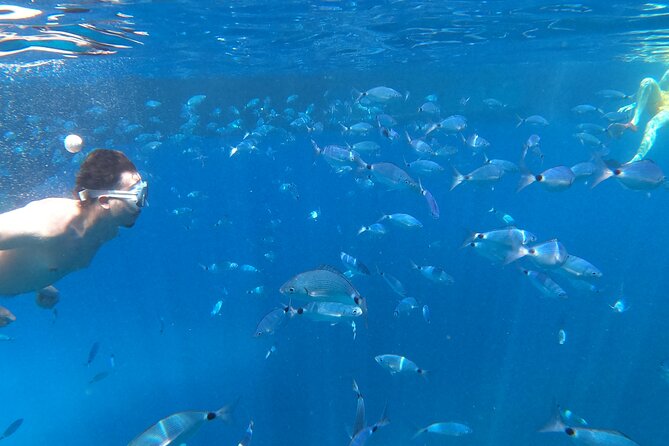 3-Hour Northwest Coast Excursion: Aquarium and Islas Margaritas - Starting at Capitán Nemo Ibiza in San Antonio