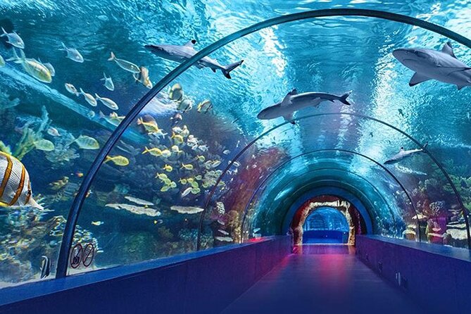 4-Hour Guided Antalya Aquarium Tour - Hotel pickup from Antalya and Belek
