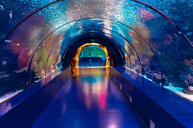 4-Hour Guided Antalya Aquarium Tour - Is $68 a fair price?