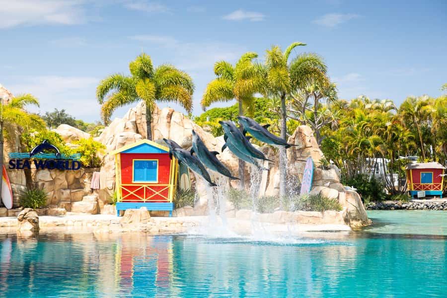 5-Day Theme Park Pass & Sea World Cruise Combo Ticket - Key points to know before you book