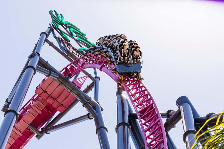 5-Day Theme Park Pass & Sea World Cruise Combo Ticket - Why this package works for a Gold Coast holiday