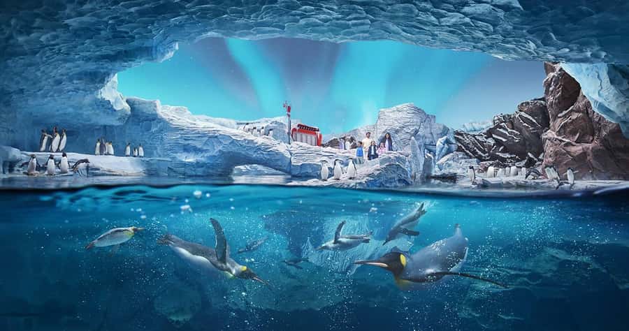 Abu Dhabi Mosque & Sea World Tour from Dubai - Yas Mall: a useful pause on Yas Island