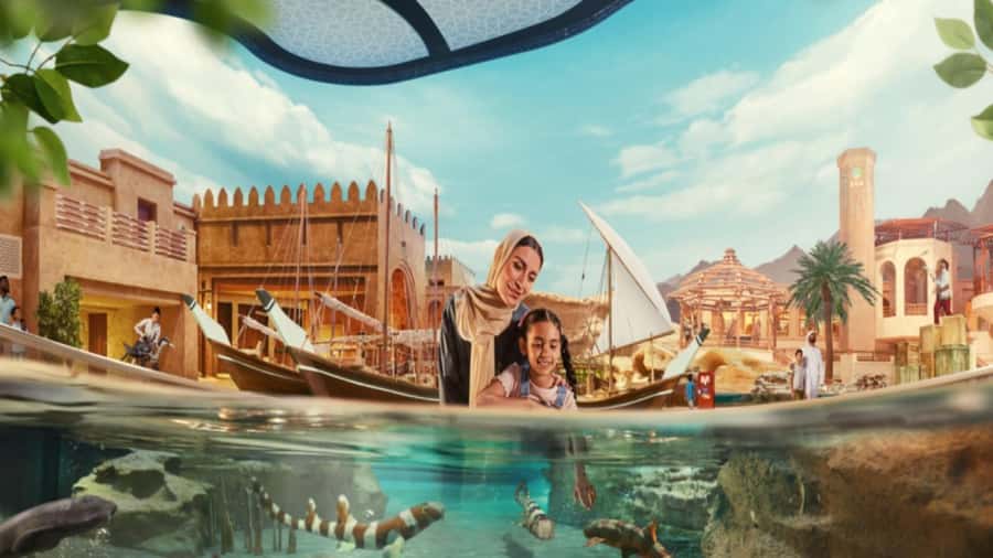 Abu Dhabi Mosque & Sea World Tour from Dubai - SeaWorld Abu Dhabi: eight realms and a long afternoon