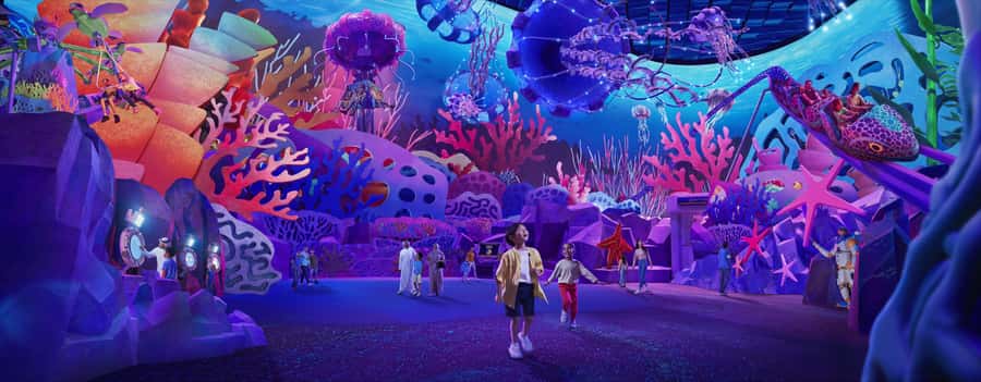 Abu Dhabi Mosque & Sea World Tour from Dubai - What the $269 price really covers