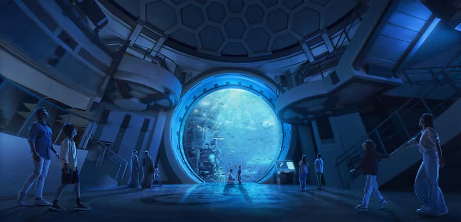 Abu Dhabi Mosque & Sea World Tour from Dubai - FAQ