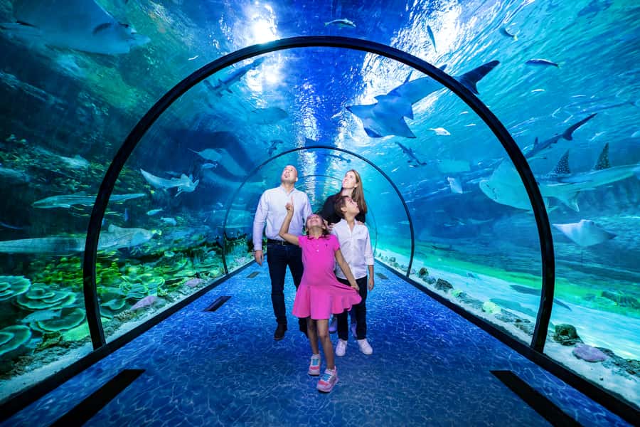 Abu Dhabi: National Aquarium Entrance Ticket - A world tour through 10 aquatic zones