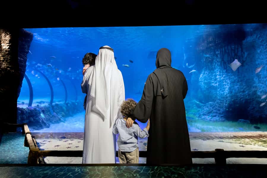 Abu Dhabi: National Aquarium Entrance Ticket - Sharks, rays, and the best viewing areas