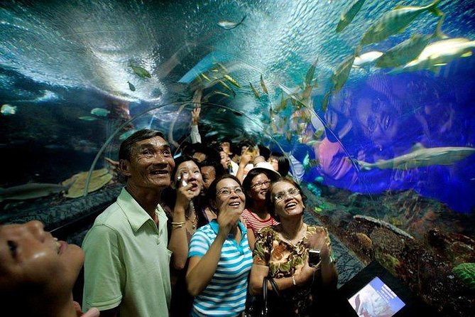 Admission Ticket to Underwater World Pattaya with Return Transfer - What to expect from the aquarium condition