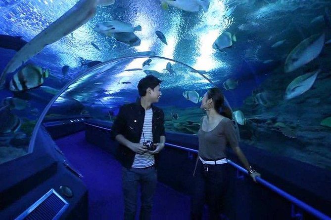 Admission Ticket to Underwater World Pattaya with Return Transfer - Booking details that matter