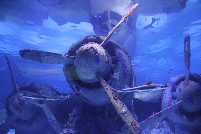 Alexander Waterfall and Antalya Aquarium Day Tour from Side - A varied day from Side to Antalya
