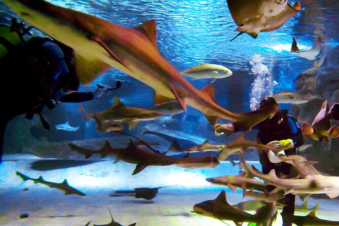 Alexander Waterfall and Antalya Aquarium Day Tour from Side - Who will enjoy this tour most?
