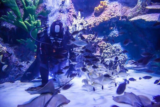 Alexander Waterfall and Antalya Aquarium Day Tour from Side - Alexander Waterfall and the Mediterranean coast