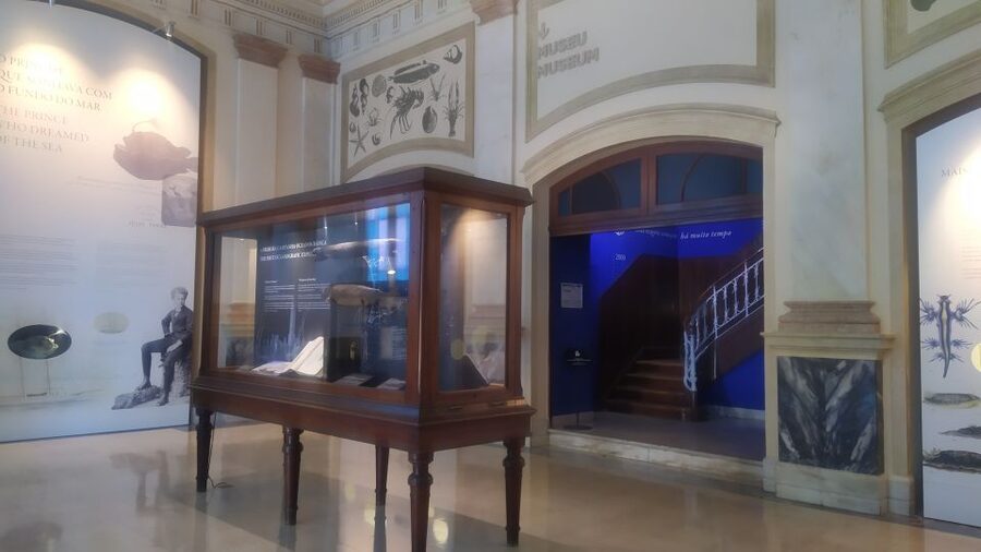 Algés: Vasco da Gama Aquarium Entry Ticket - Following King Carlos and the yacht Amelia