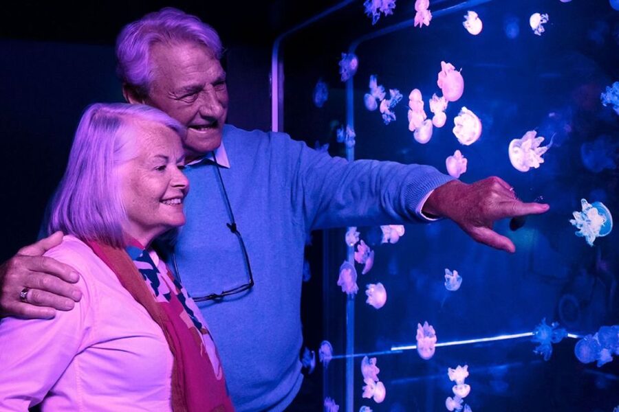 American Dream: SEA LIFE® Aquarium Entry Ticket - Getting hands-on at the touch pool
