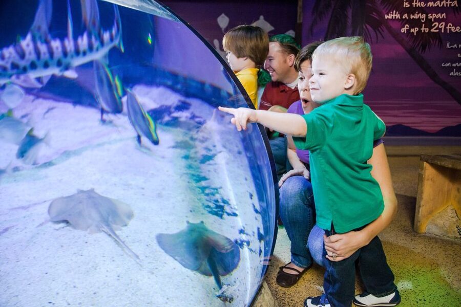 American Dream: SEA LIFE® Aquarium Entry Ticket - Finishing in City Under the Sea