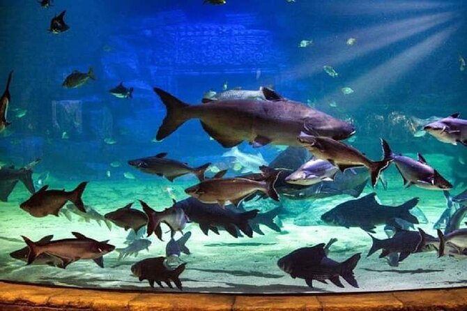 Angkor Wildlife & Aquarium Halfday tour - Inside Angkor Wildlife & Aquarium