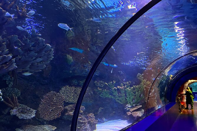 Antalya Aquarium and Face to Face Wax Museum Private Transfer - Who will enjoy this Antalya outing most?