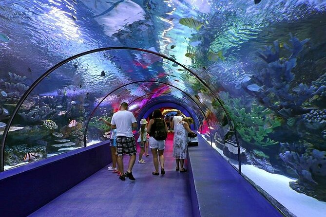 Antalya Aquarium and Face to Face Wax Museum Ticket - Three hours is a useful, flexible time frame