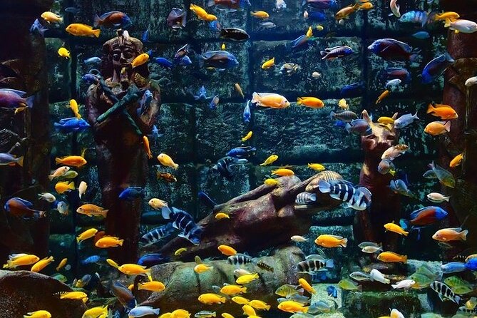 Antalya Aquarium and Face to Face Wax Museum Ticket - Opening hours from January through December 2026