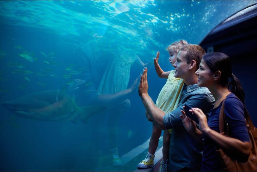 Antalya: Aquarium and Wax Museum Entry Ticket - Key points at a glance