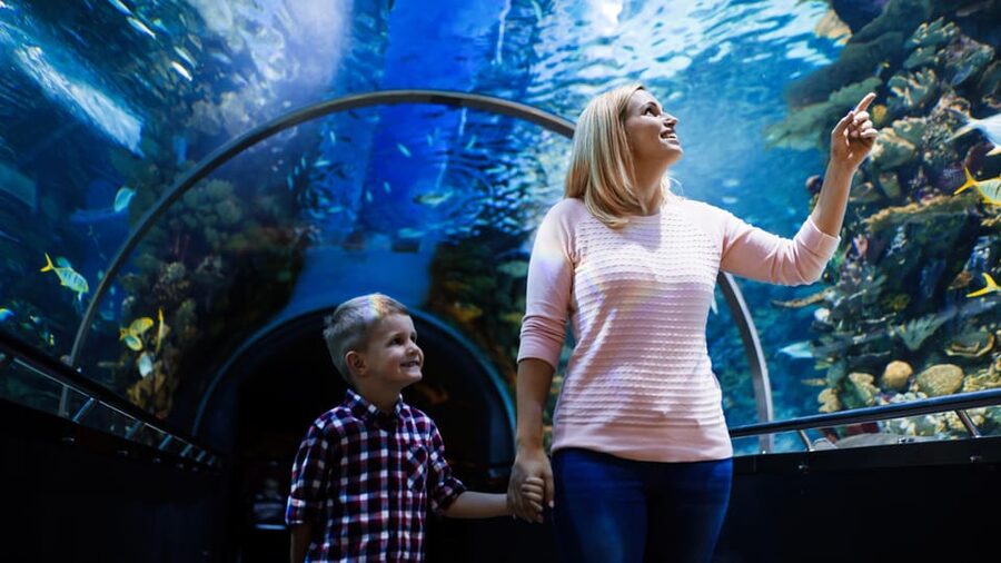 Antalya: Aquarium and Wax Museum Entry Ticket - The giant tunnel is the main event