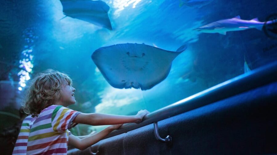 Antalya: Aquarium and Wax Museum Entry Ticket - Sharks, crocodiles, and the smaller creatures