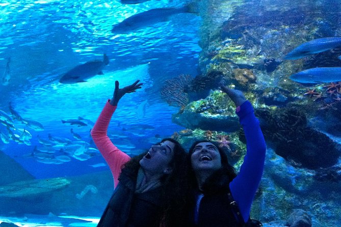 Antalya: Aquarium Ticket With Optional Transfer - What the three-hour Antalya Aquarium visit is really like