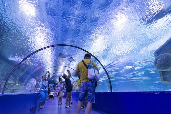 Antalya: Aquarium Ticket With Optional Transfer - Face2Face Wax Museum is included