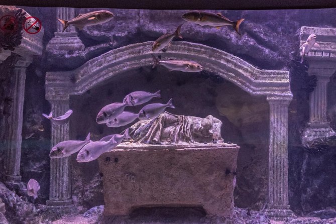 Antalya: Aquarium Ticket With Optional Transfer - What is included, and what you pay for separately