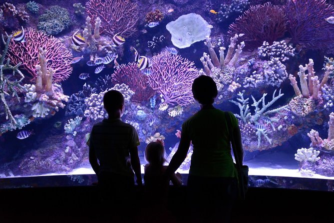 Antalya: Aquarium Ticket With Optional Transfer - Aquarium displays for an easy family outing