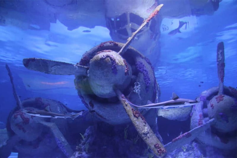 Antalya: Aquarium, Wax Museum & Combo Package Options - Price, package choices, and real value