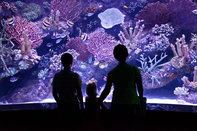 Antalya: Aquarium, Wax Museum & Combo Package Options - Antalya Aquarium and the plane wreck with sharks