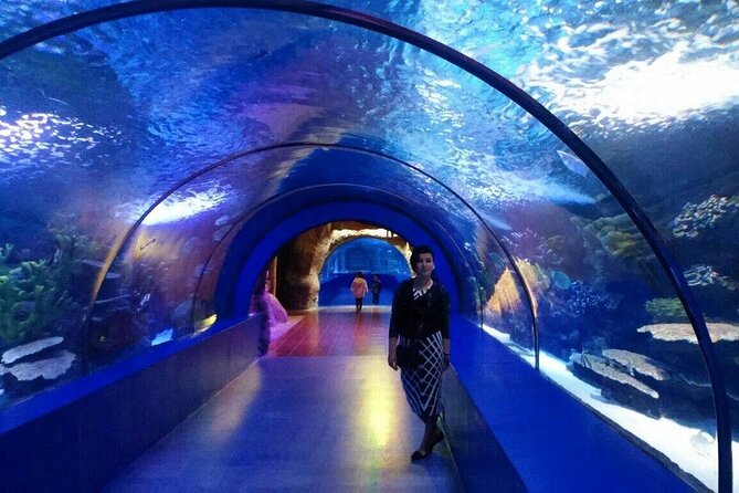 Antalya: Aquarium, Wax Museum & Combo Package Options - Timing, transport, and the ticket counter