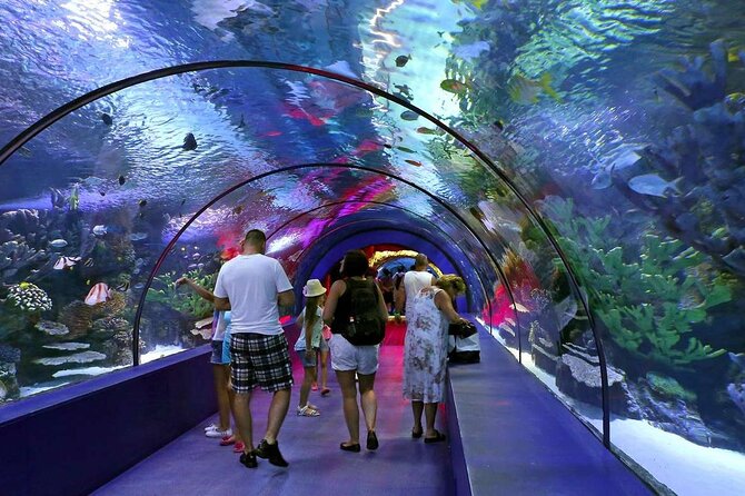 Antalya: Aquarium, Wax Museum & Combo Package Options - The Nile, Amazon, and Asian rivers