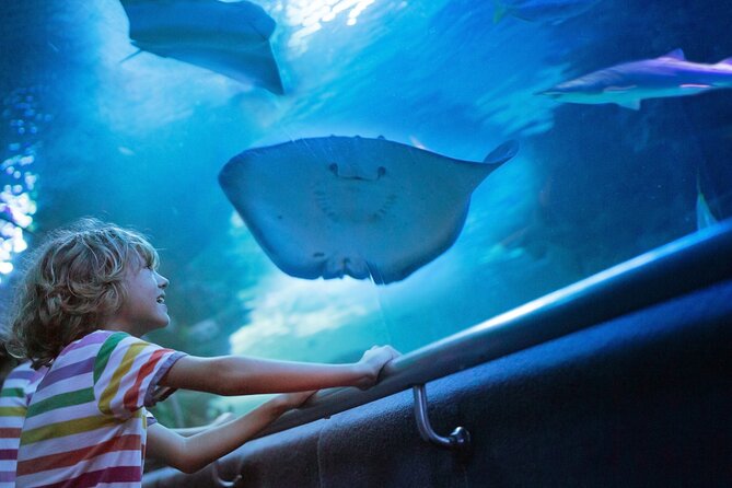 Antalya Half-Day Private City Tour with Aquarium Visit - Why this four-hour pairing works