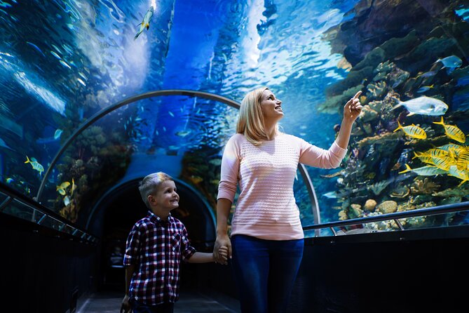 Antalya Half-Day Private City Tour with Aquarium Visit - Kaleici ties the landmarks together
