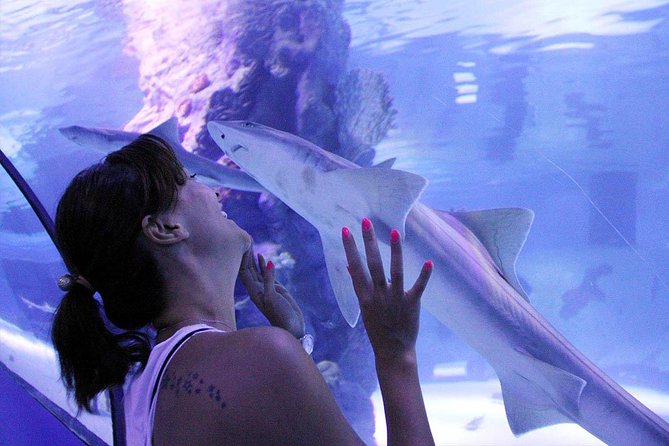 Antalya Tunnel Aquarium - Departure from Side - From Side at 8:30 am