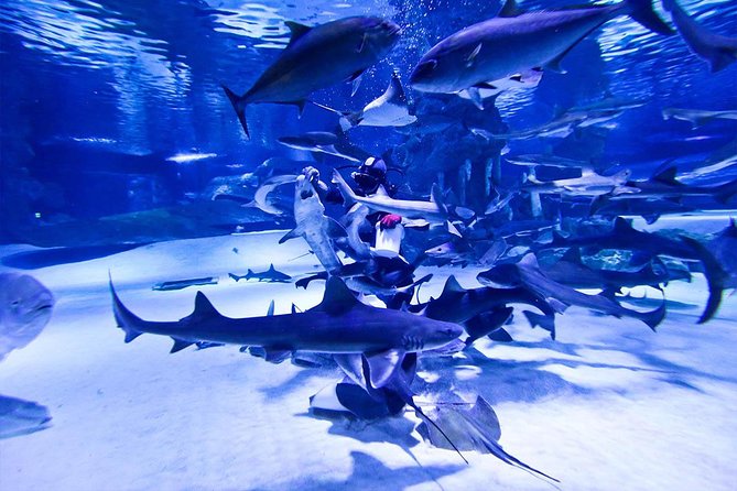 Antalya Tunnel Aquarium - Departure from Side - What the $68.30 price really covers