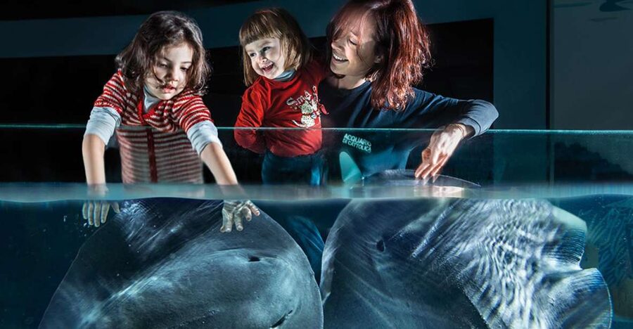 Aquarium of Cattolica Entry Ticket - Key points to know before you go