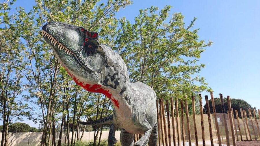 Aquarium of Cattolica Entry Ticket - Purple route turns insects into giant science displays