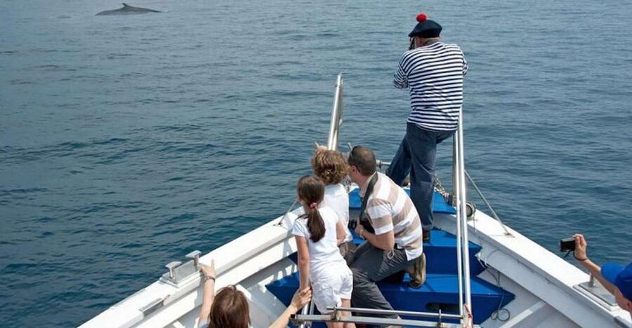 Aquarium of Genoa Ticket and Whale Watching Cruise - The pier beside the Aquarium keeps the day simple