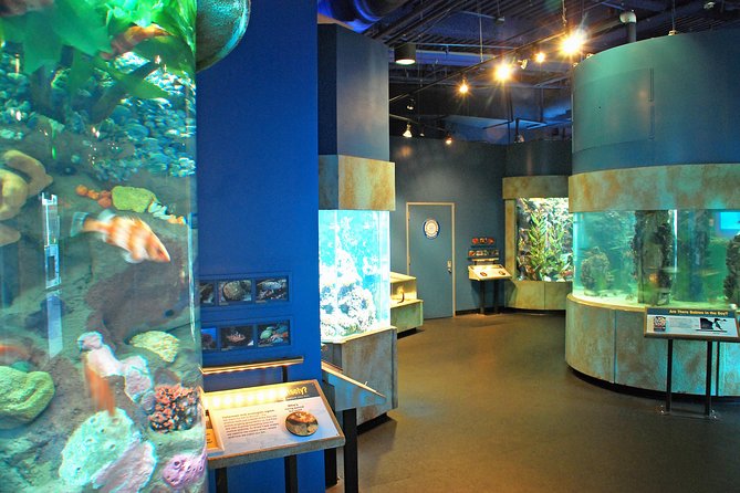 Aquarium of the Bay General Admission Ticket - What the $28.25 price really buys