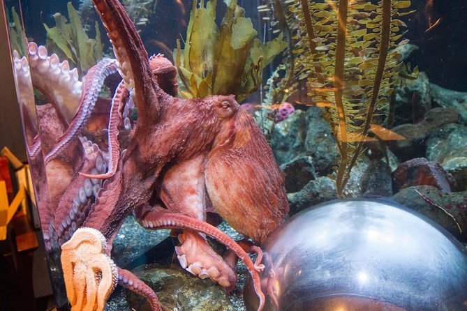 Aquarium of the Bay General Admission Ticket - Who should book this experience?