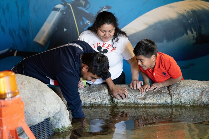 Aquarium of the Bay VIP Experience - How much value you get for $61.50