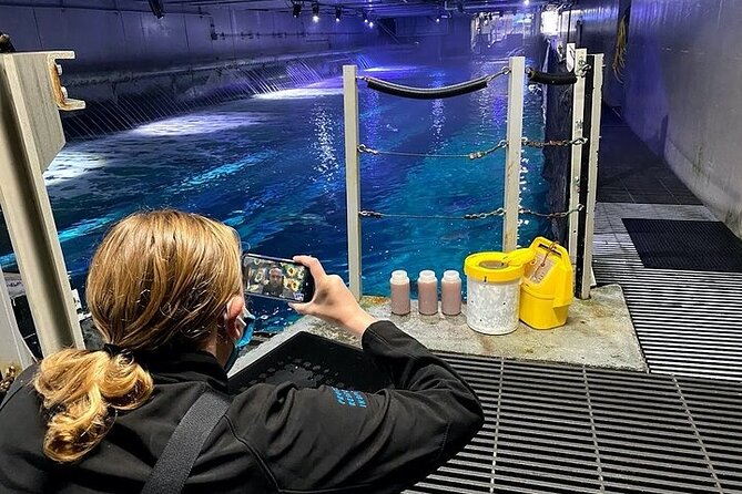 Aquarium of the Bay VIP Experience - Should you book the Aquarium of the Bay VIP Experience?