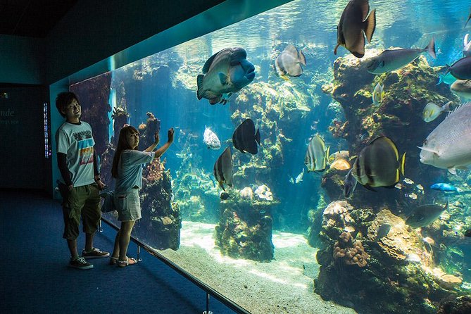 Aquarium Package in Nouméa's with Admission with Hop-on Hop-Off - Key points to know before you go
