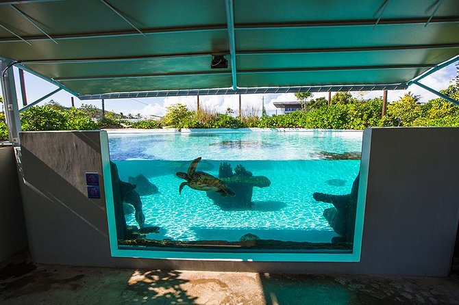 Aquarium Package in Nouméa's with Admission with Hop-on Hop-Off - Is $32.28 good value?
