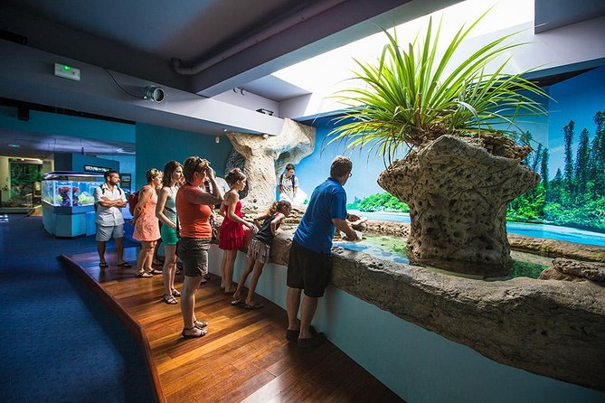 Aquarium Package in Nouméa's with Admission with Hop-on Hop-Off - What you will see inside the aquarium